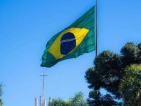 The image shows a Brazilian flag waving against a clear blue sky. The flag displays a green field with a yellow diamond, inside of which is a blue globe with white stars and the motto "Ordem e Progresso." Tall trees and a mast are visible in the foreground.