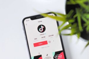 Smartphone displaying the TikTok profile screen. The screen shows the TikTok logo, account details with 46.1M followers and 233.8M likes. A "Follow" button is visible underneath. Partial view of a plant on the right side in the foreground.